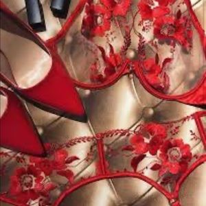 Honey Birdette Belle Red Suspender